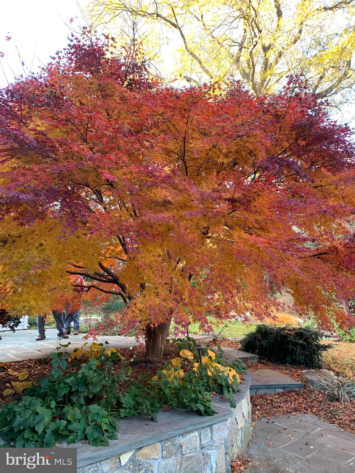 DOVER BALMORAL RIVERWOOD - Residential