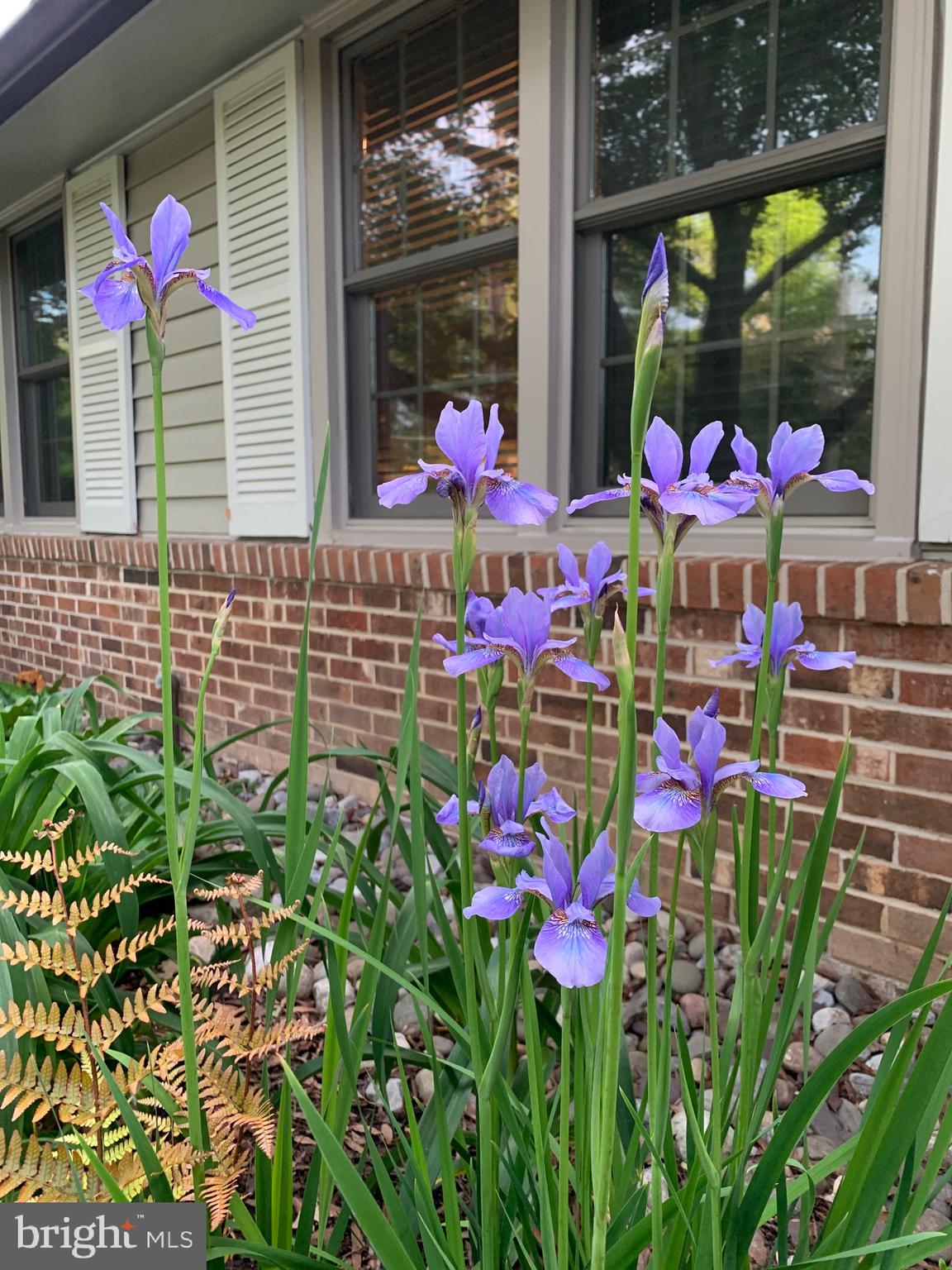 DOVER BALMORAL RIVERWOOD - Residential