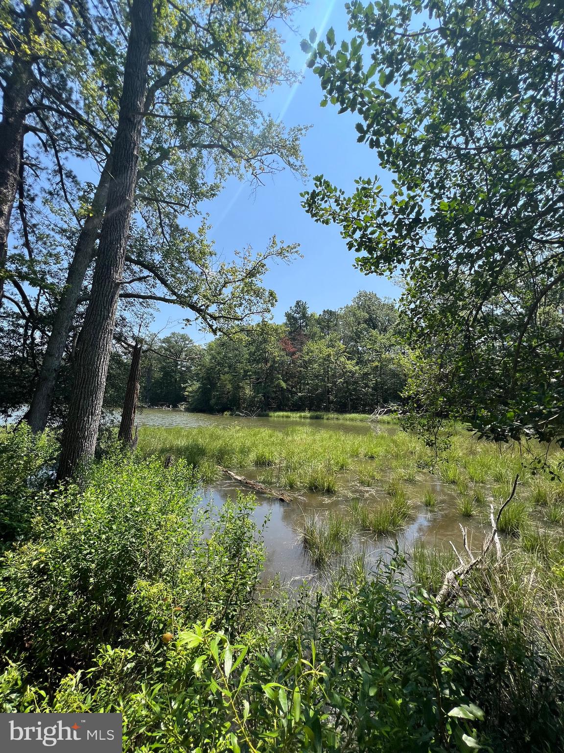 GLEBE HARBOR - Residential