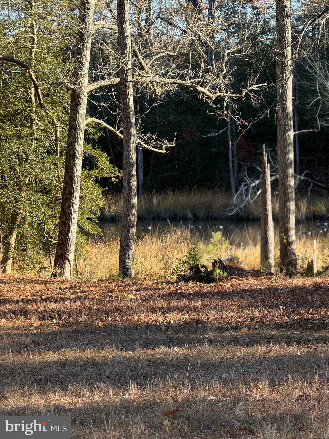 GLEBE HARBOR - Residential