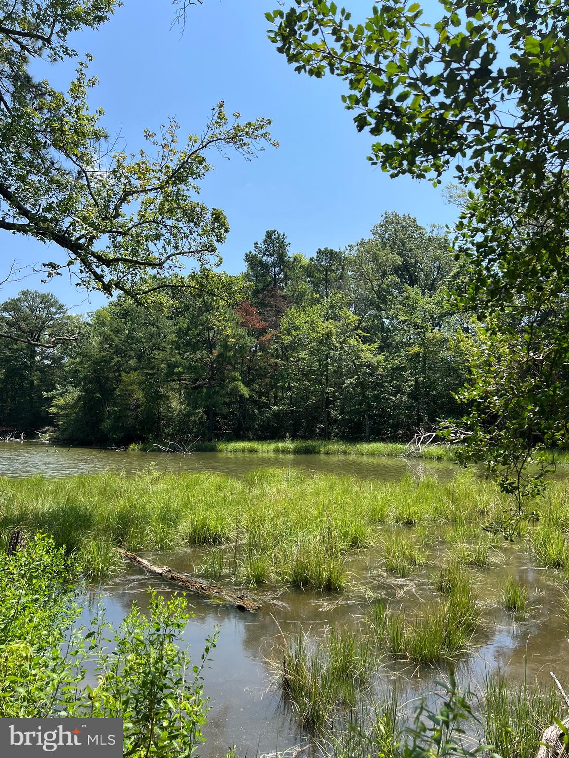 GLEBE HARBOR - Residential