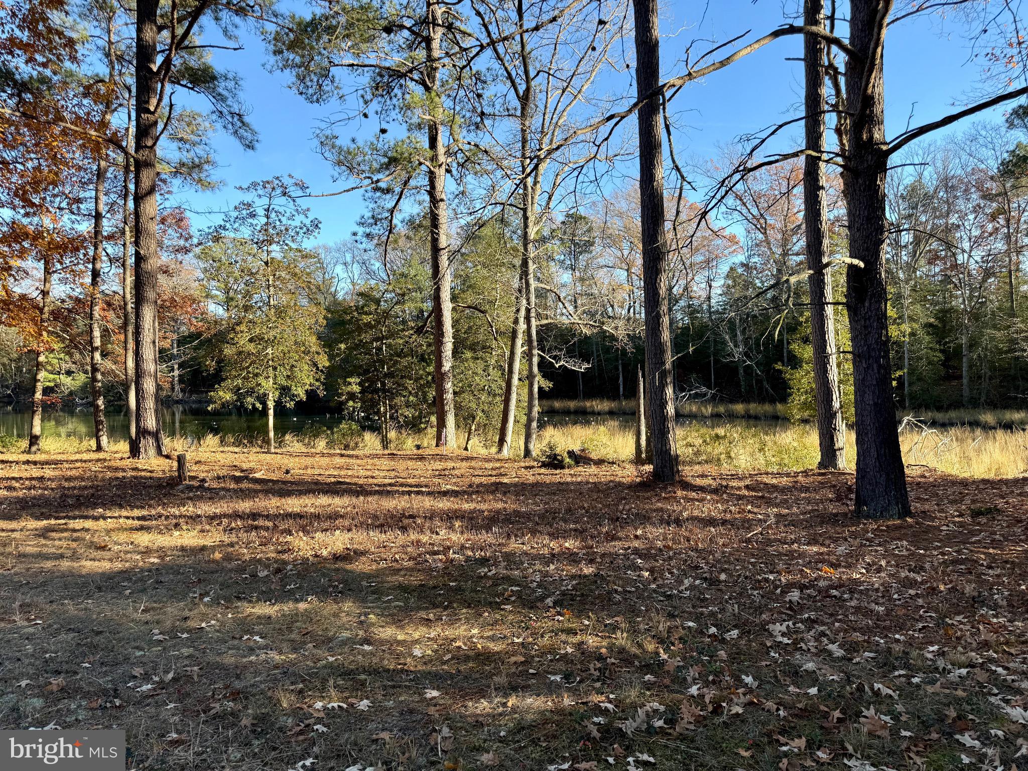 GLEBE HARBOR - Residential