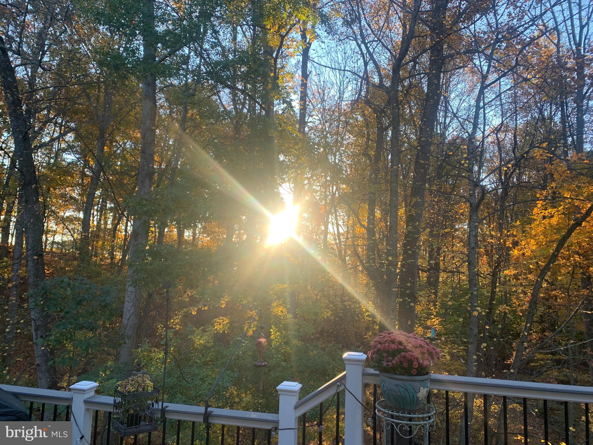 FAWN MEADOW - Residential