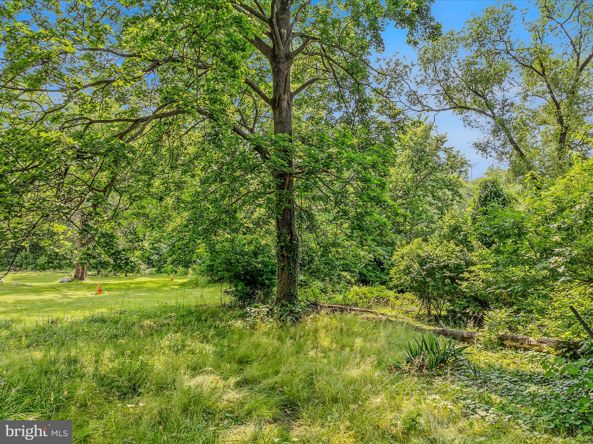 MARTINSBURG CITY - Residential