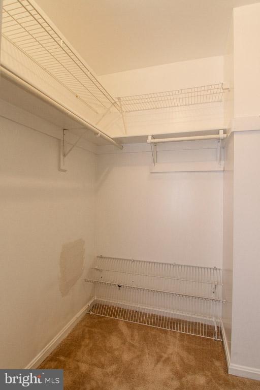 LAKE RIDGE - Residential Lease