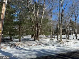 LAKE HARMONY ESTATES - Land