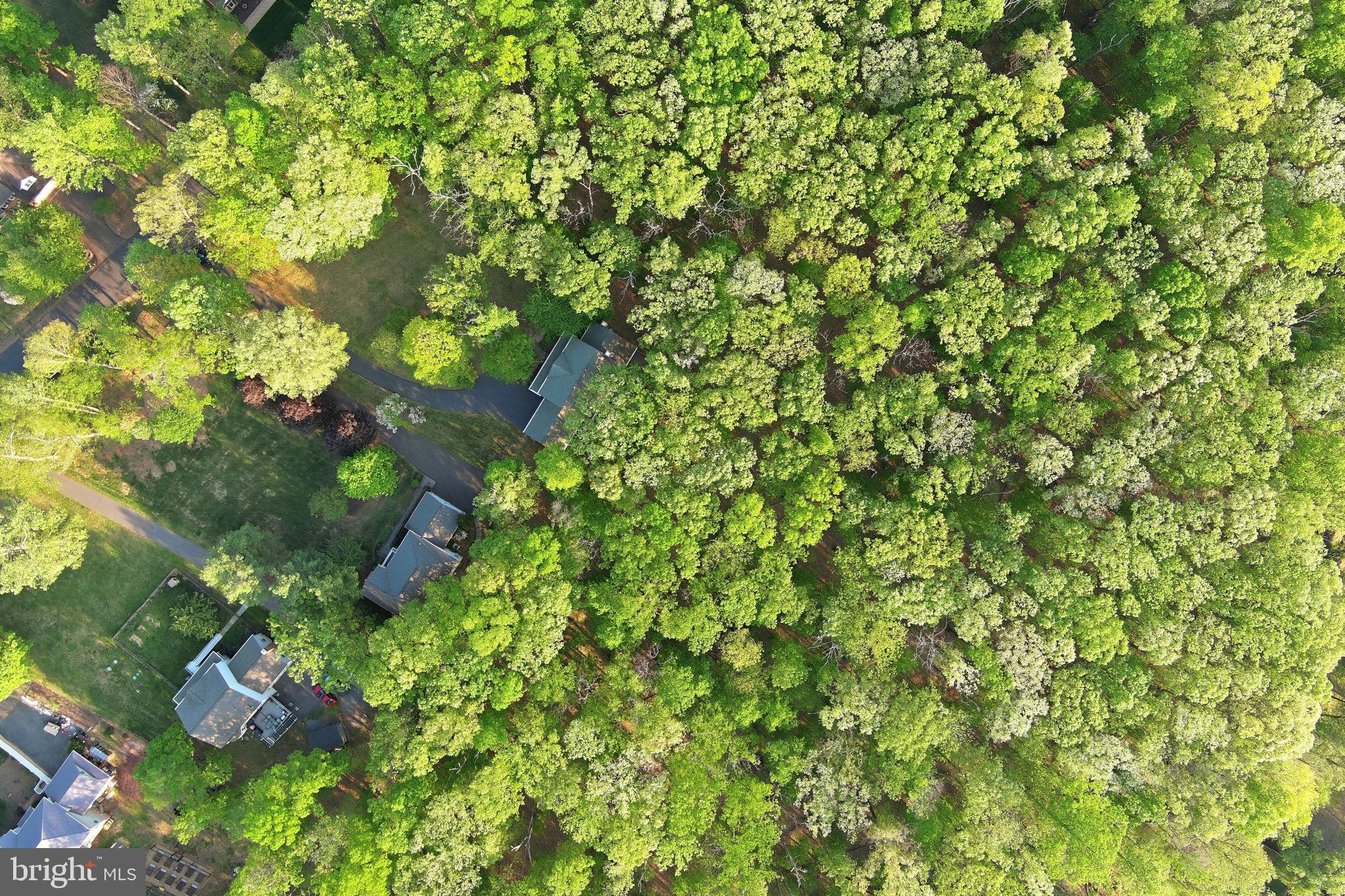 AUBURN MILL ESTATES - Residential