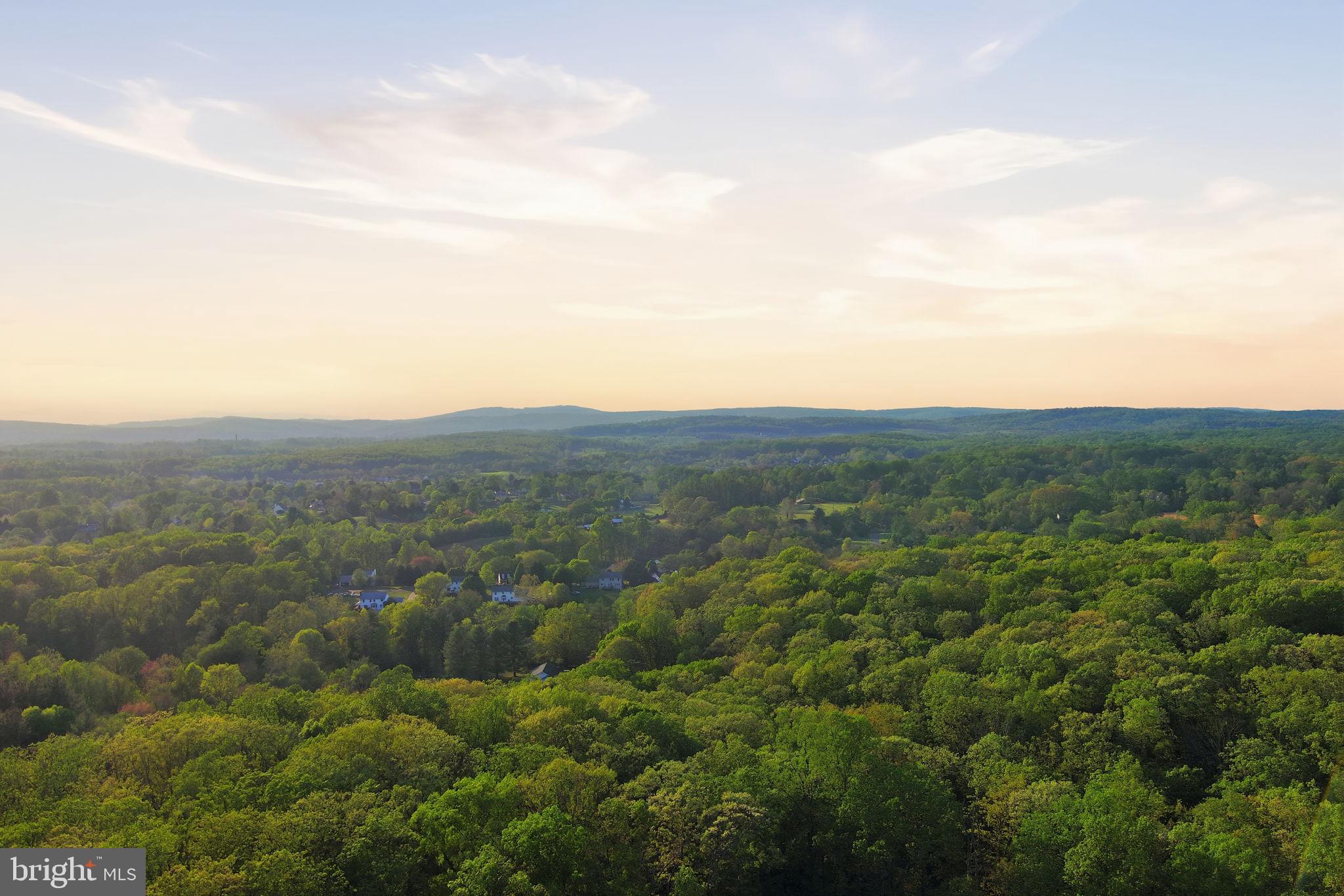 AUBURN MILL ESTATES - Residential