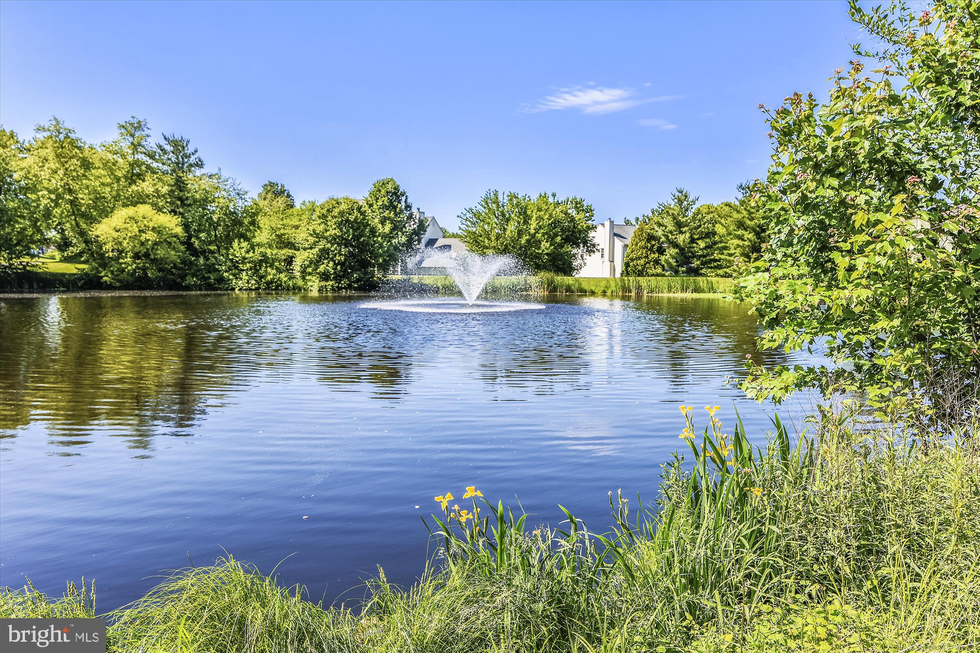 ASHBURN FARM - Residential