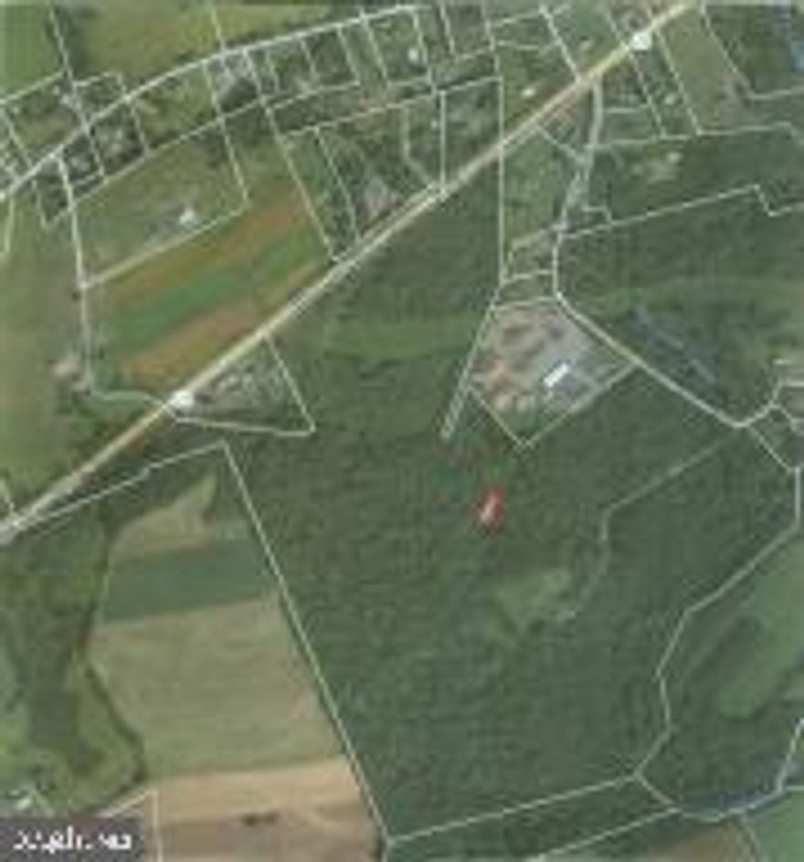 This abandoned farm contains 135, mostly wooded, Acres.  Under growth, younger trees and the Raccoon Creek  (water source) combine to form an ideal Whitetail habitat. Frontage of 2,560' on Rte. 22 and 682' on Coon Creek Rd..  A 1,700' Driveway leads back to the ruins of an old barn in a 4 Acre clearing. Great location for Secluded Home Site and Agricultural uses. Existing Double Wide not included. Property is Eligible for Clean and Green but is not currently enrolled (non-profit owned).