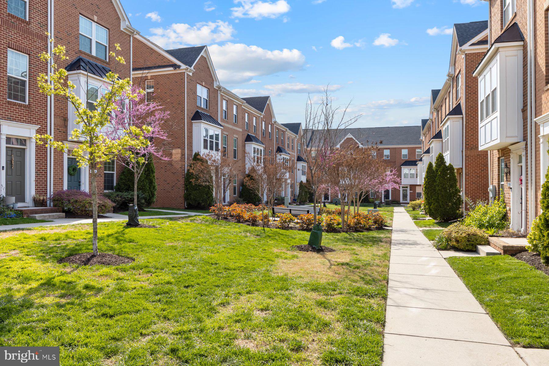 O'DONNELL SQUARE - Residential