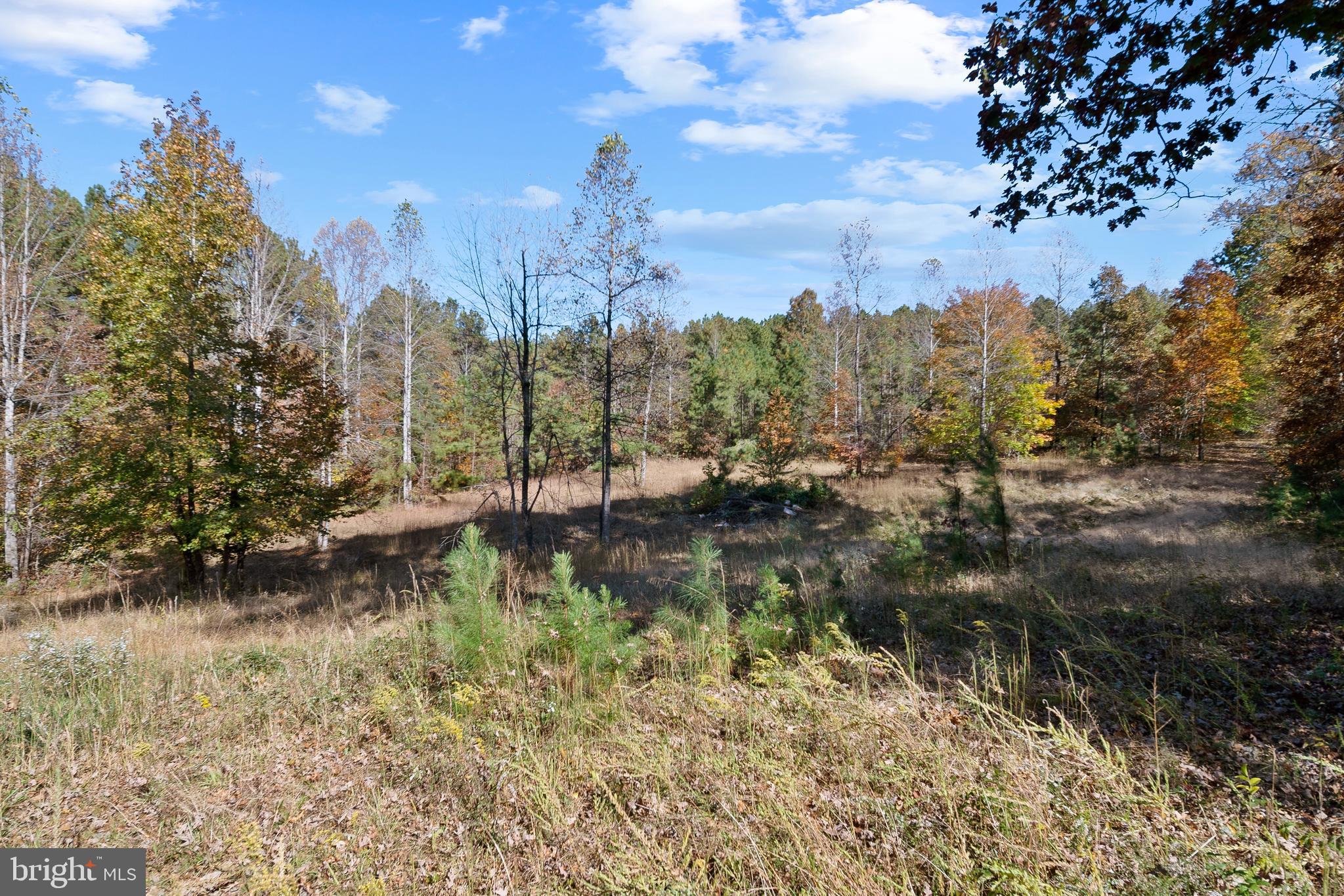 ANNA PINE ESTATES - Residential