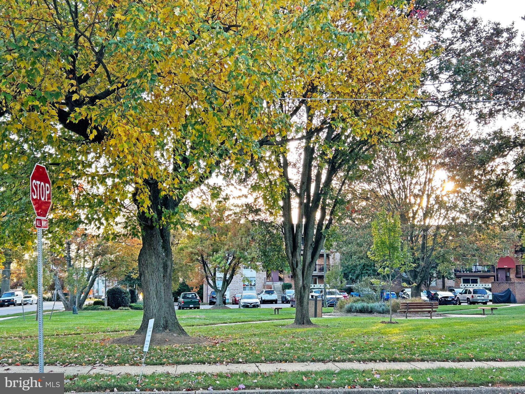 PARK TERRACE - Residential Lease