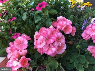 EASTFIELD - Residential