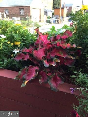 EASTFIELD - Residential