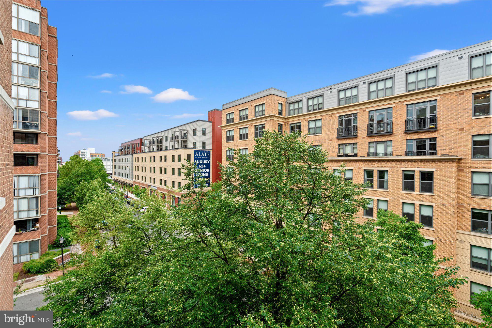 BRADDOCK PLACE - Residential