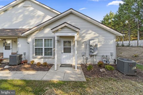 2010 RUDY SERRA C SYKESVILLE MD 21784