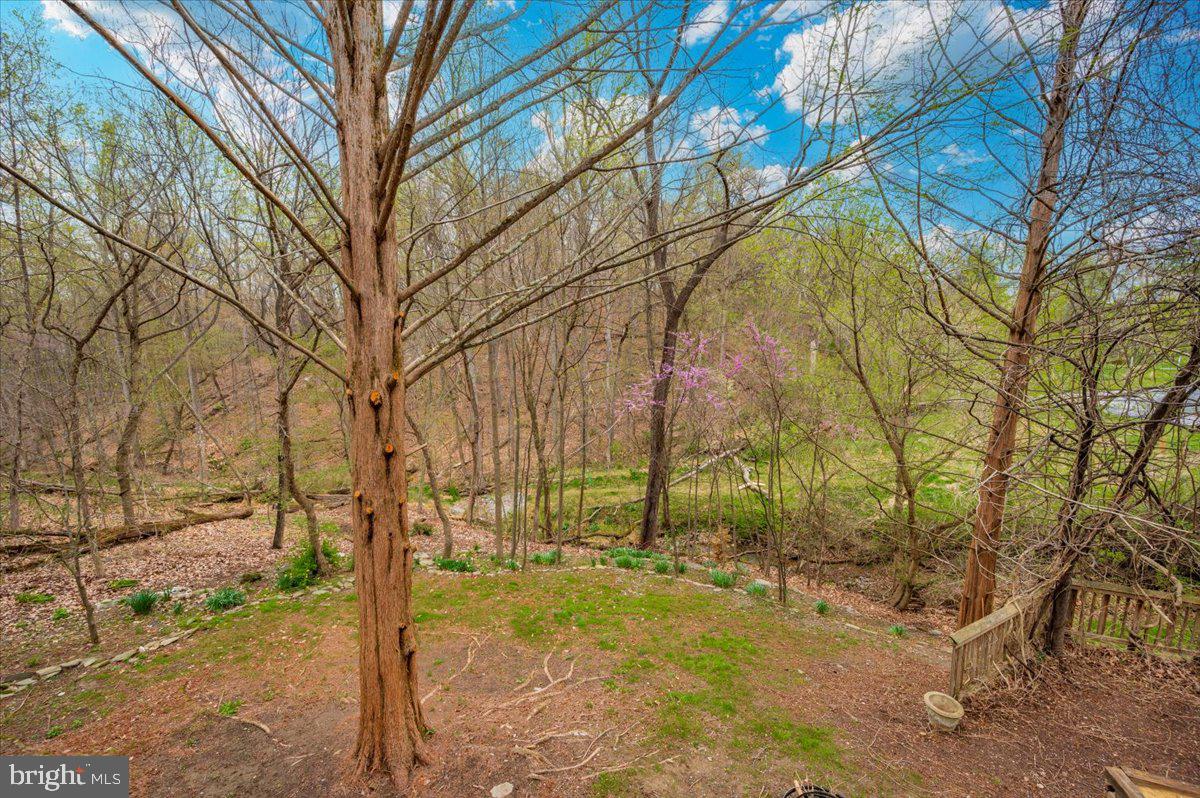 EAGLEHEAD SUMMERFIELD - Residential