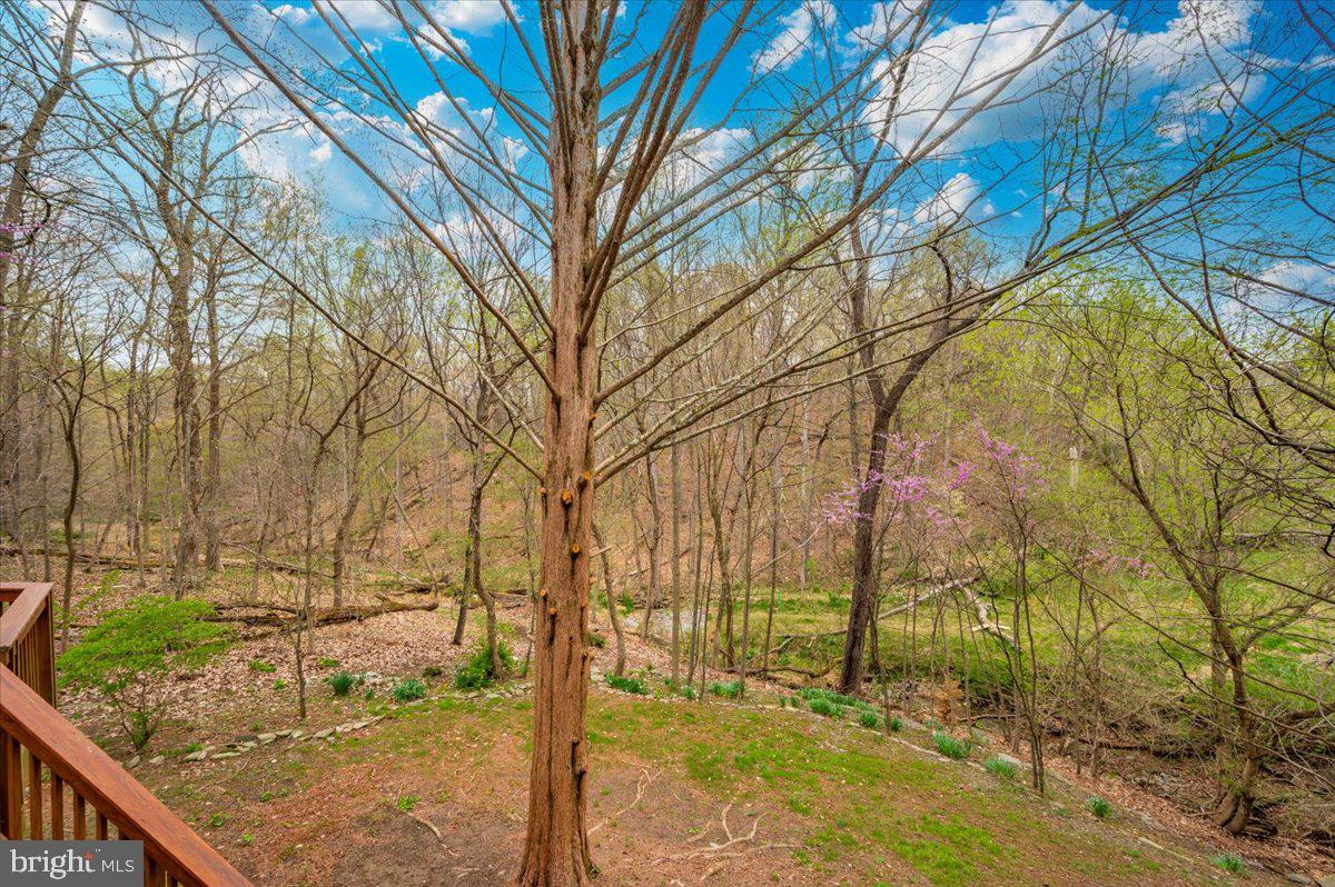 EAGLEHEAD SUMMERFIELD - Residential