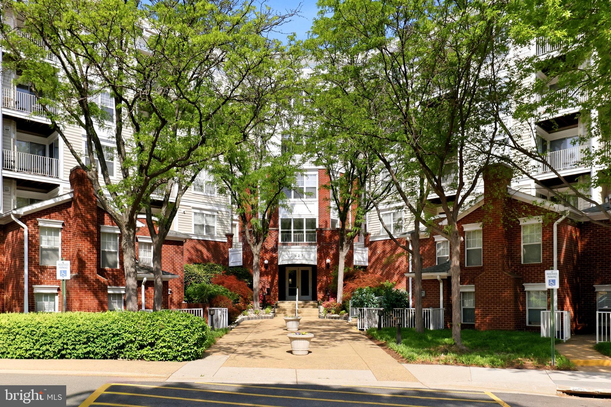 1625 INTERNATIONAL DRIVE 316