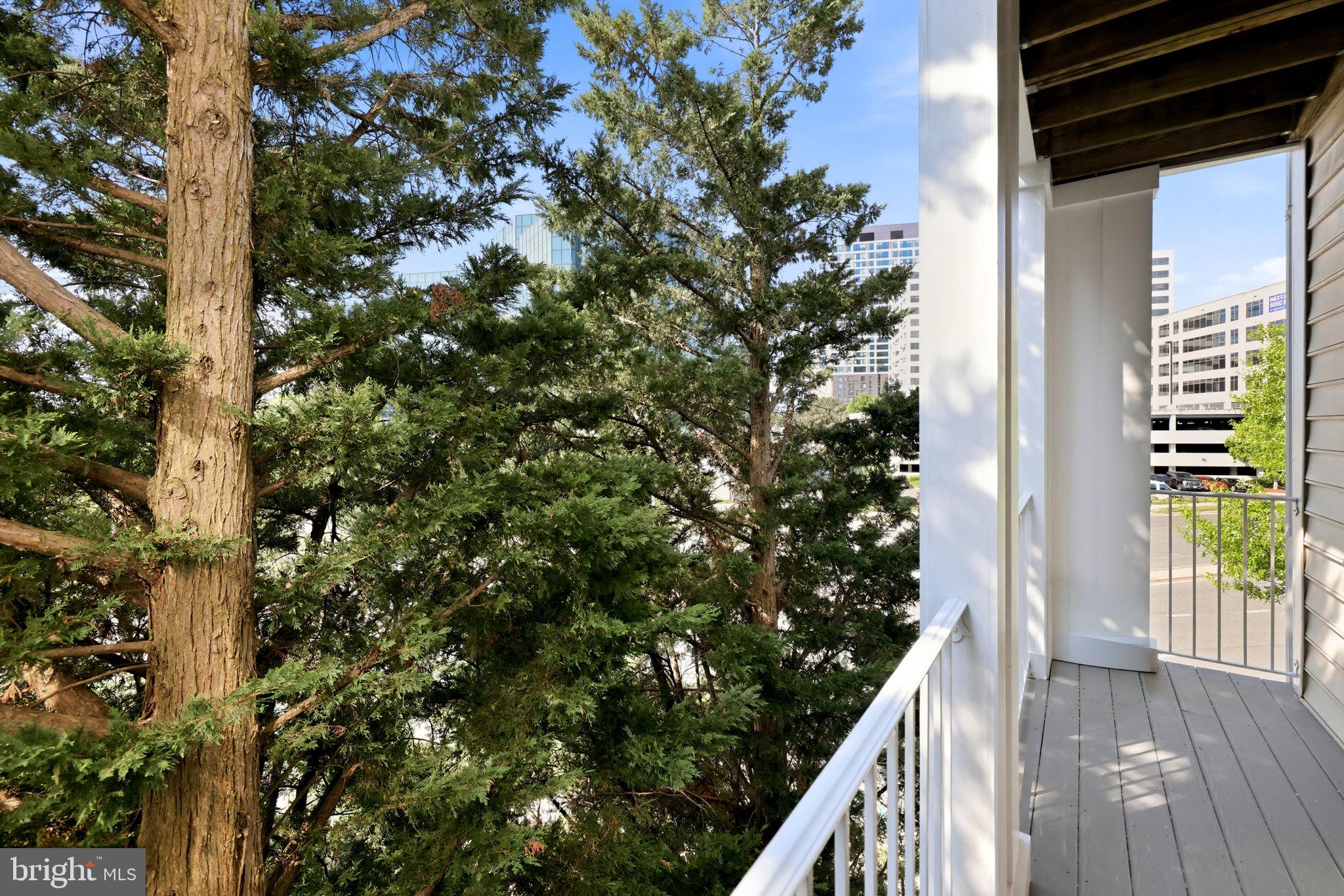 LILLIAN COURT AT TYSONS - Residential