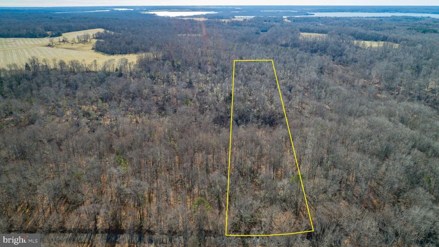10 acre wooded lot in desirable King George County--approved for 4 bedroom septic. Private setting with proposed homesite identified, offering a head start on building your dream home. Ideal for those seeking space, privacy, and natural surroundings. No HOA. Soil work and site plans available in documents section.