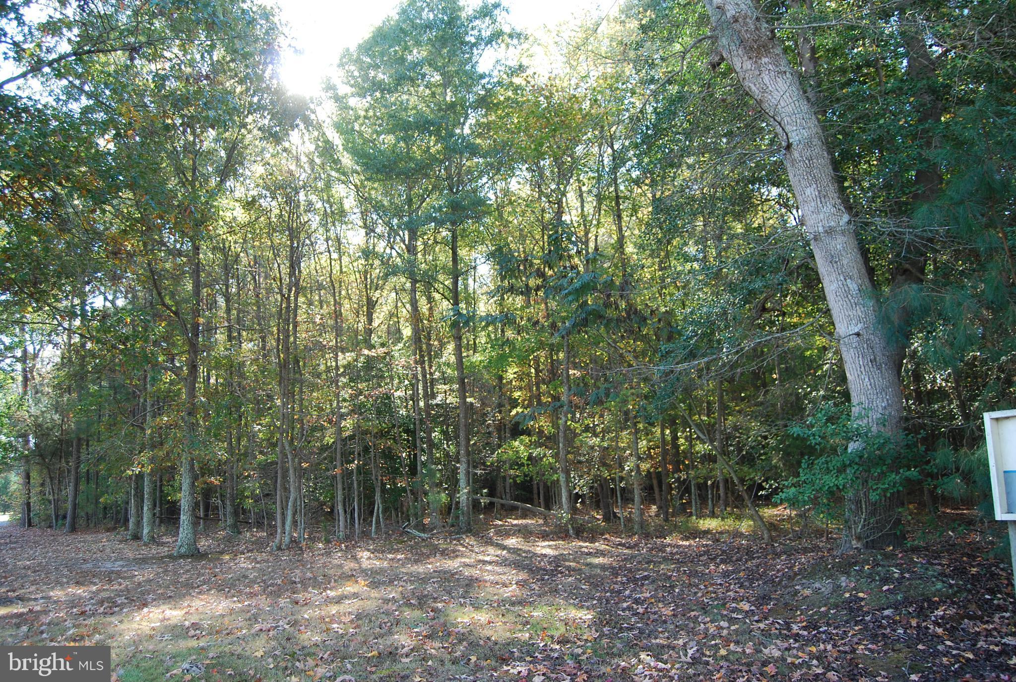 Attention Builders and Developers!!! This 175.08 acre property currently has 57 certified and recorded TDR's, 1 TDR reserved with development rights. Many possible uses, hunting club/lodge, boy/girl scout camp, recreational use, etc. Call for more information. These parcels are hard to find and this property will go quick.
