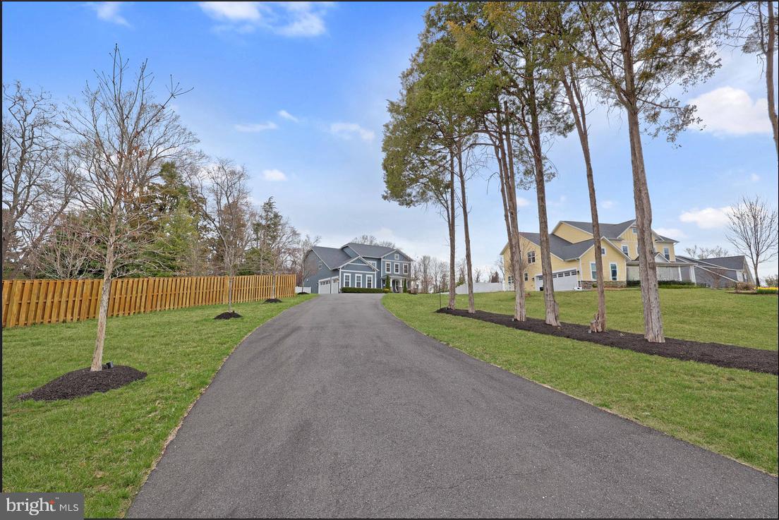 1662 TRAP ROAD