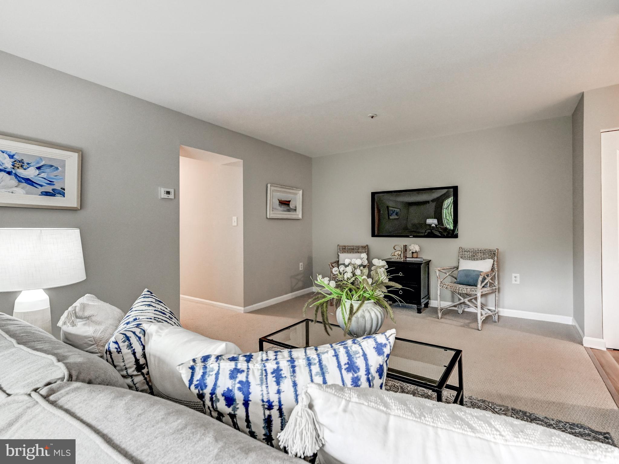 VILLAGE OF MONTGOMERY RUN - Residential