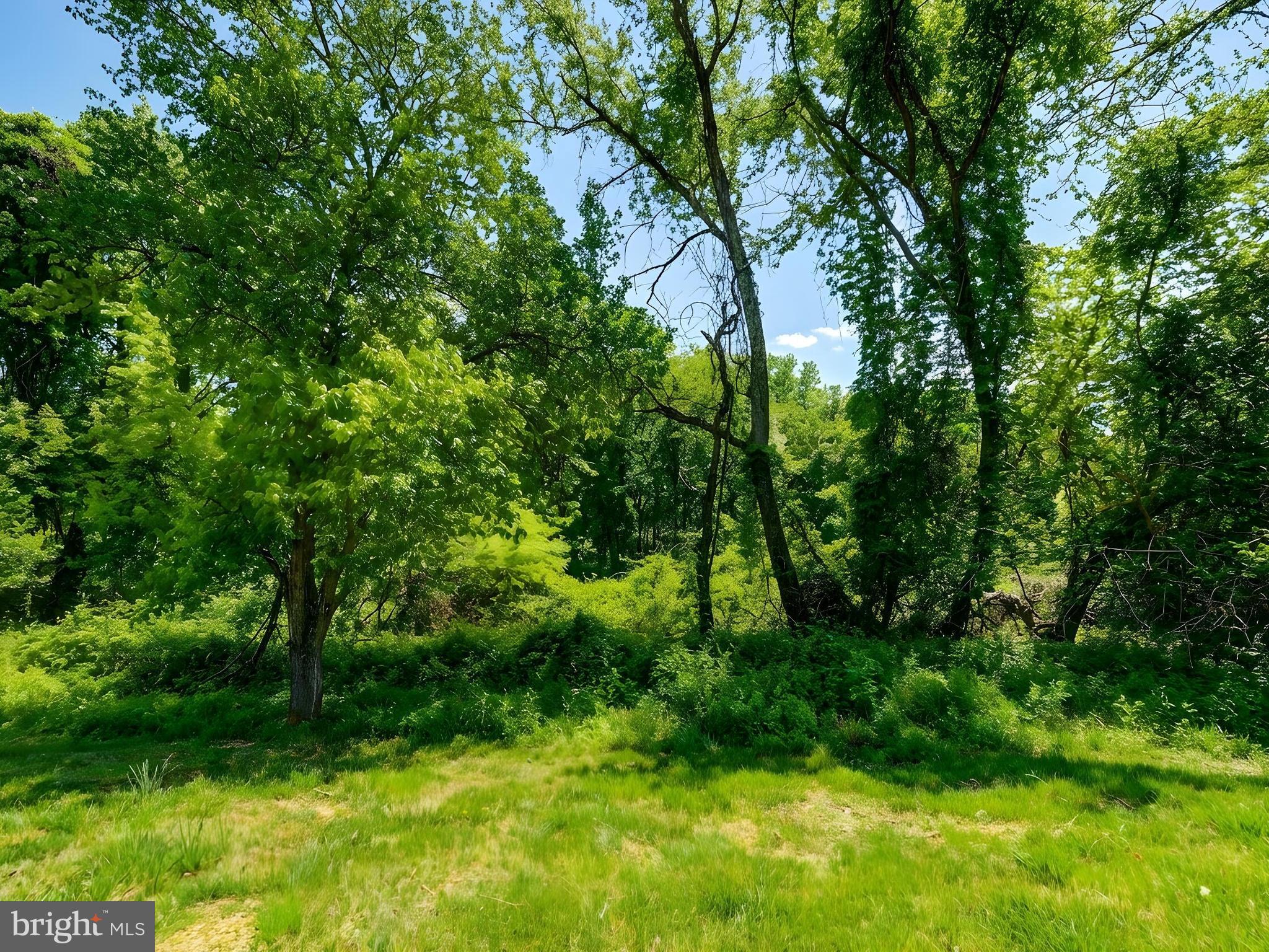 VILLAGE OF MONTGOMERY RUN - Residential