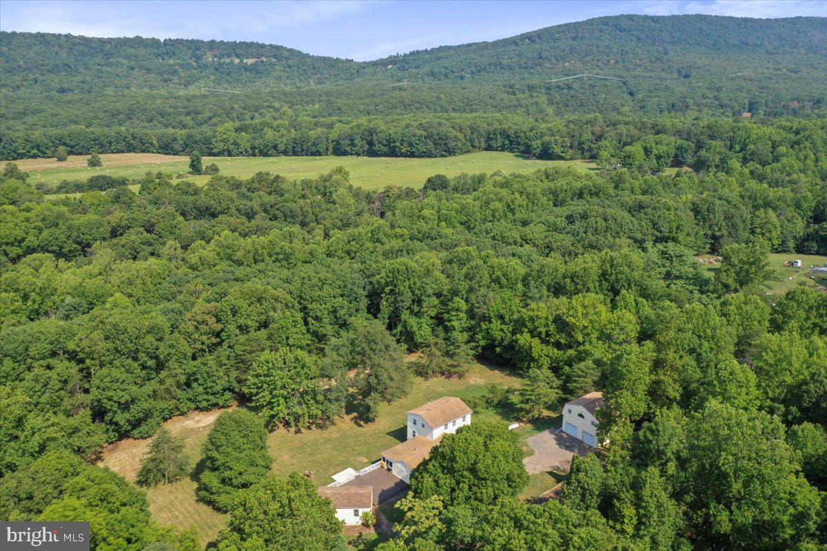 OWL HOLLOW CABINS - Residential