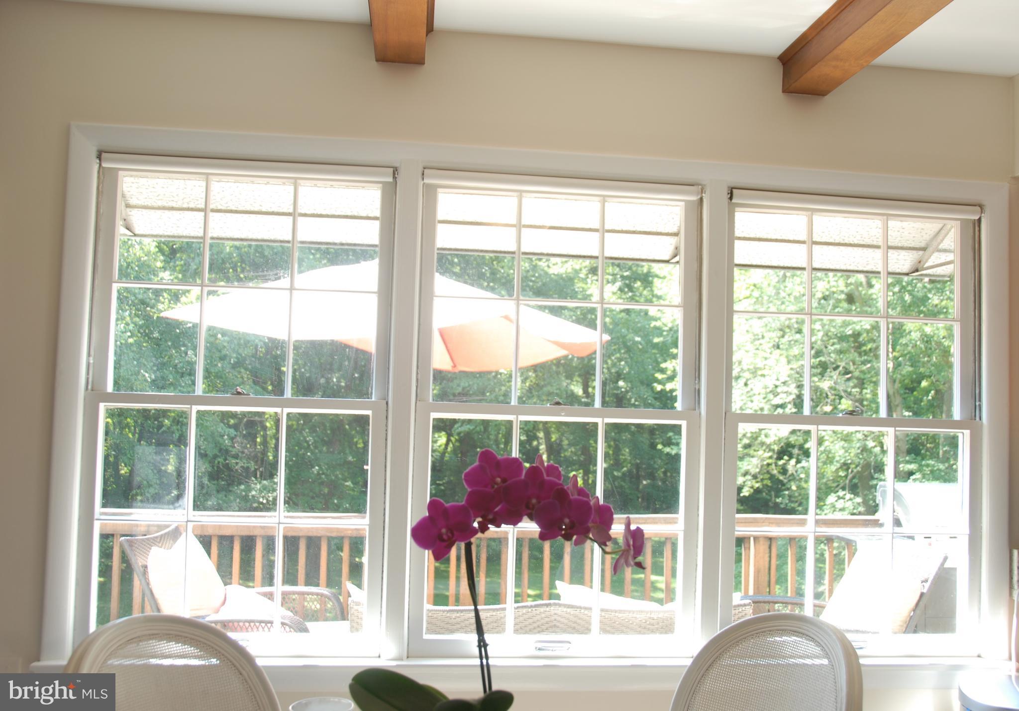 HOLLINDALE - Residential