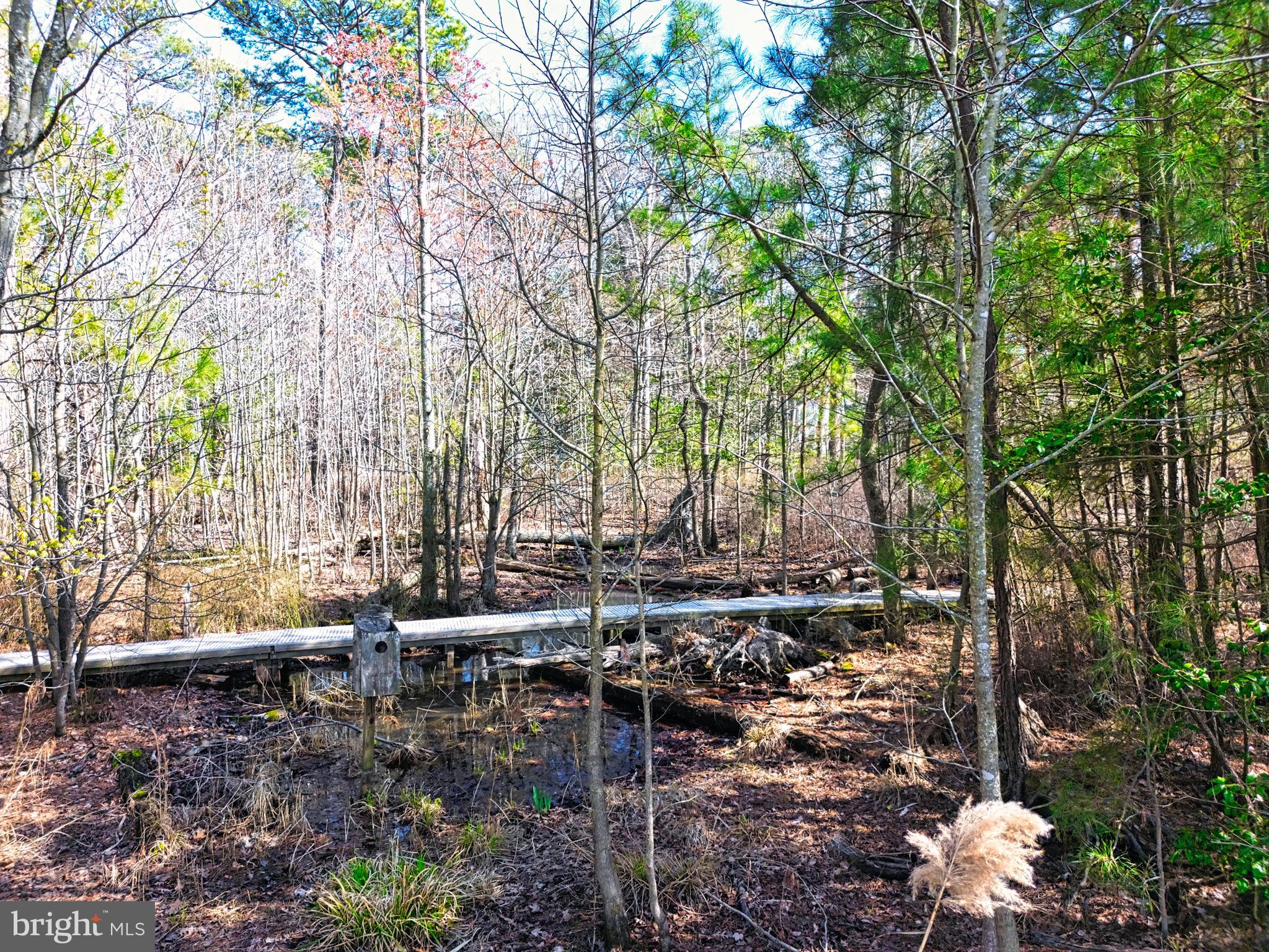BACK CREEK LANDING - Residential