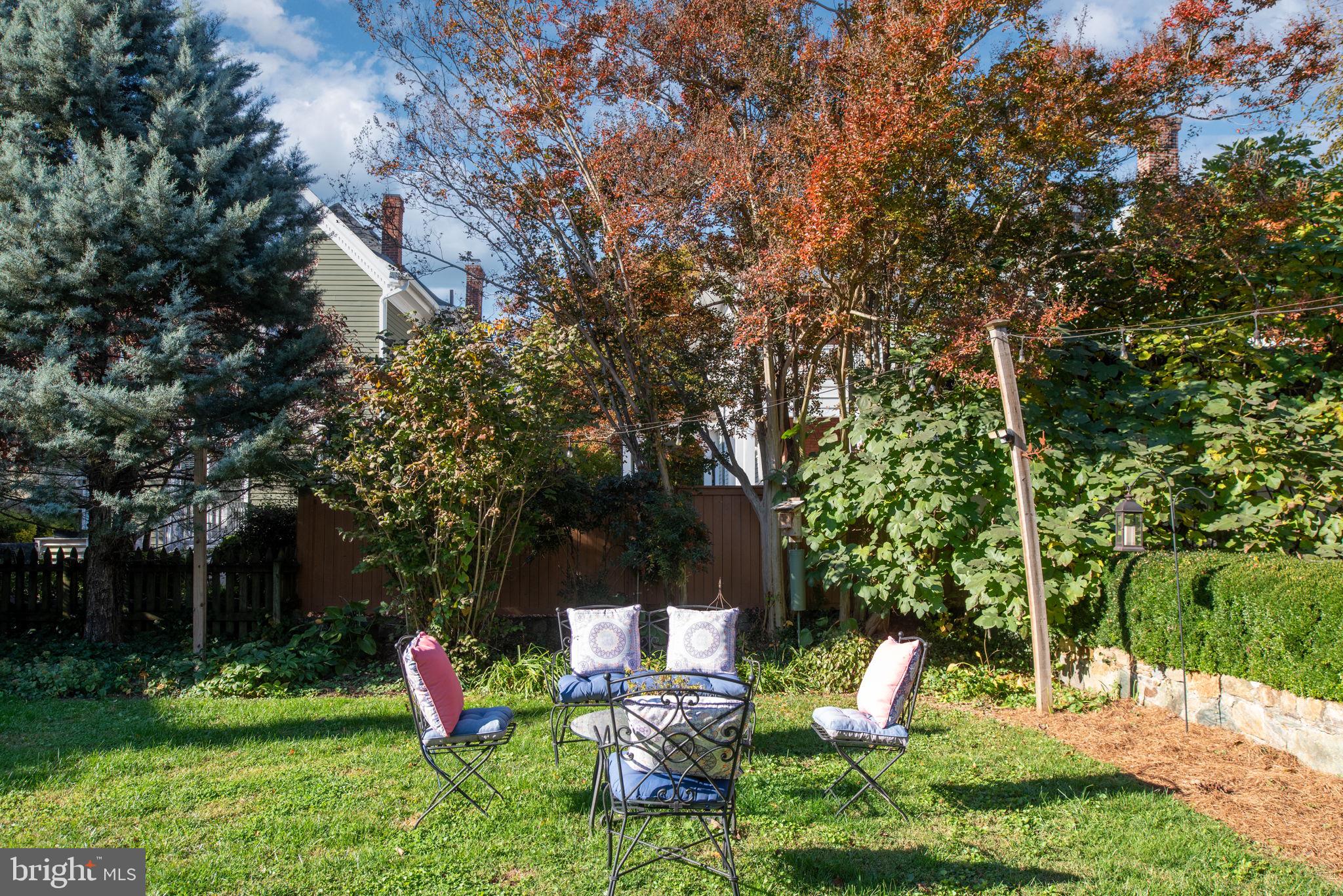 DOWNTOWN FREDERICKSBURG - Residential