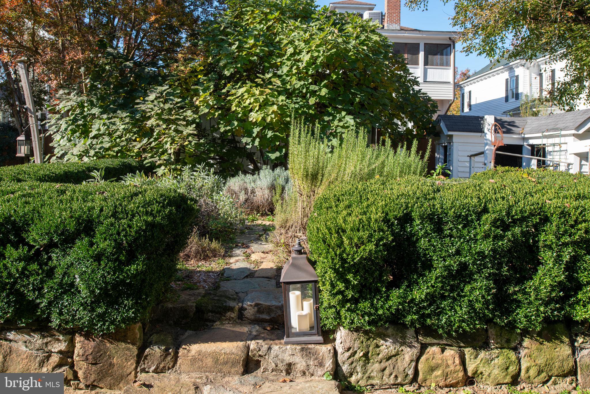 DOWNTOWN FREDERICKSBURG - Residential