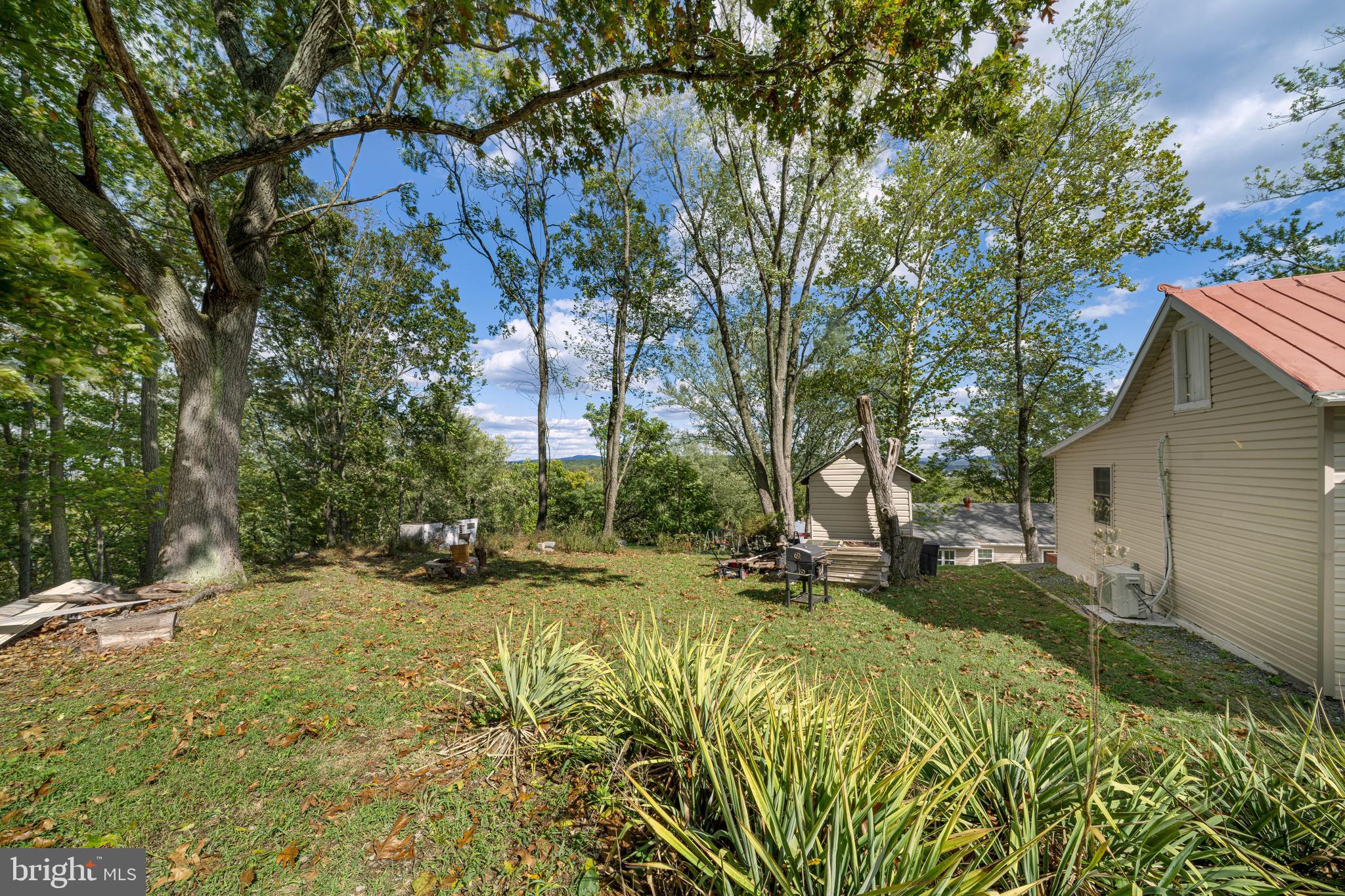 32 TALIAFERRO ST
