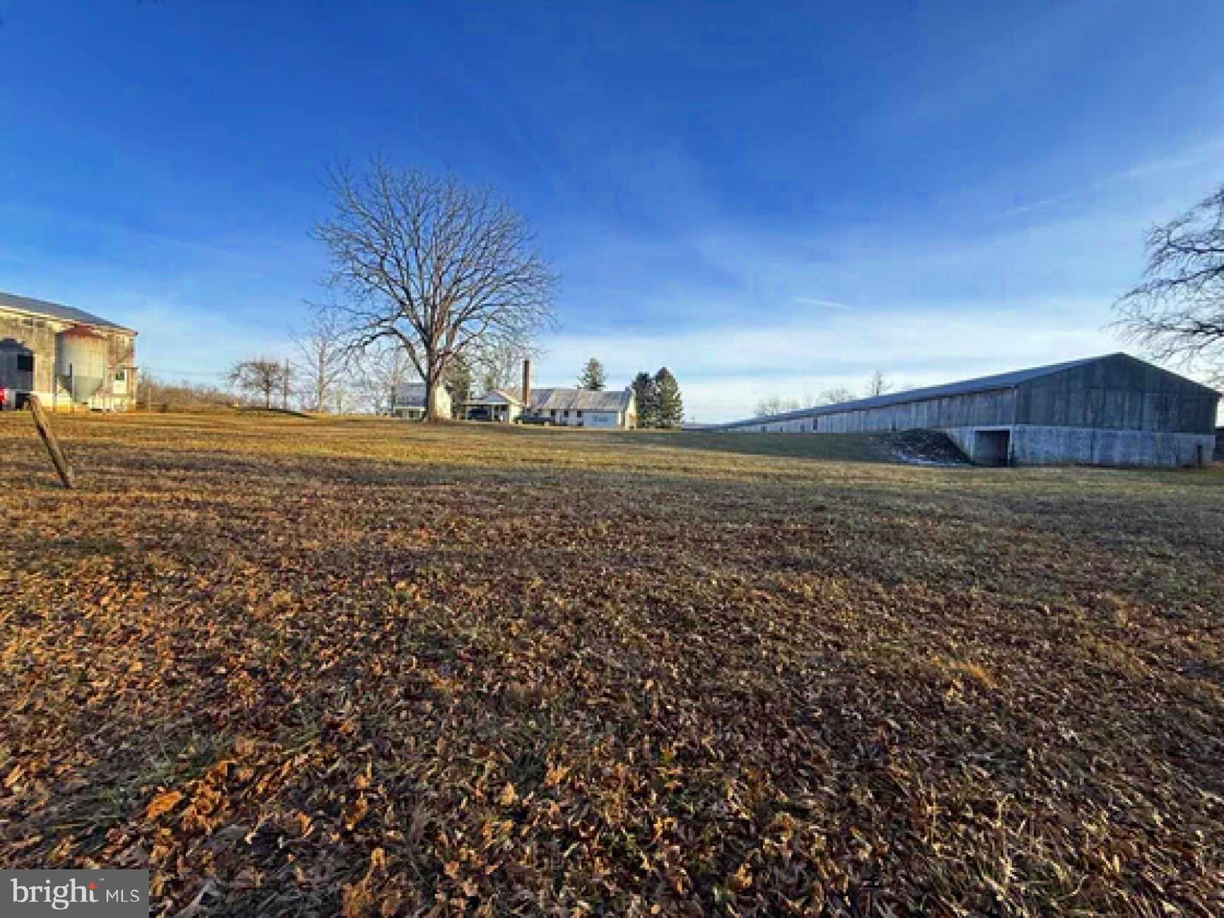 NONE AVAILABLE - Farm