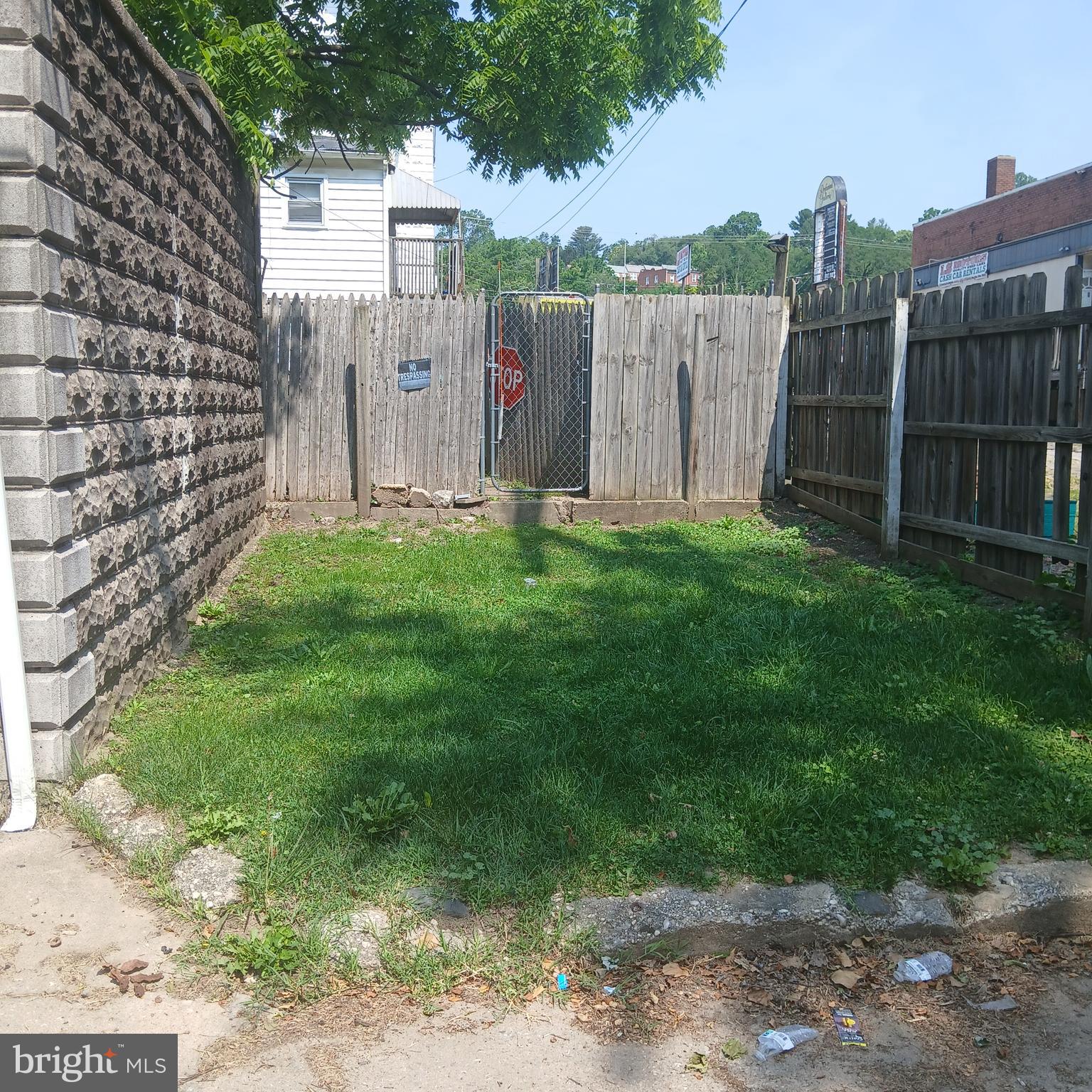 Main image without alt text