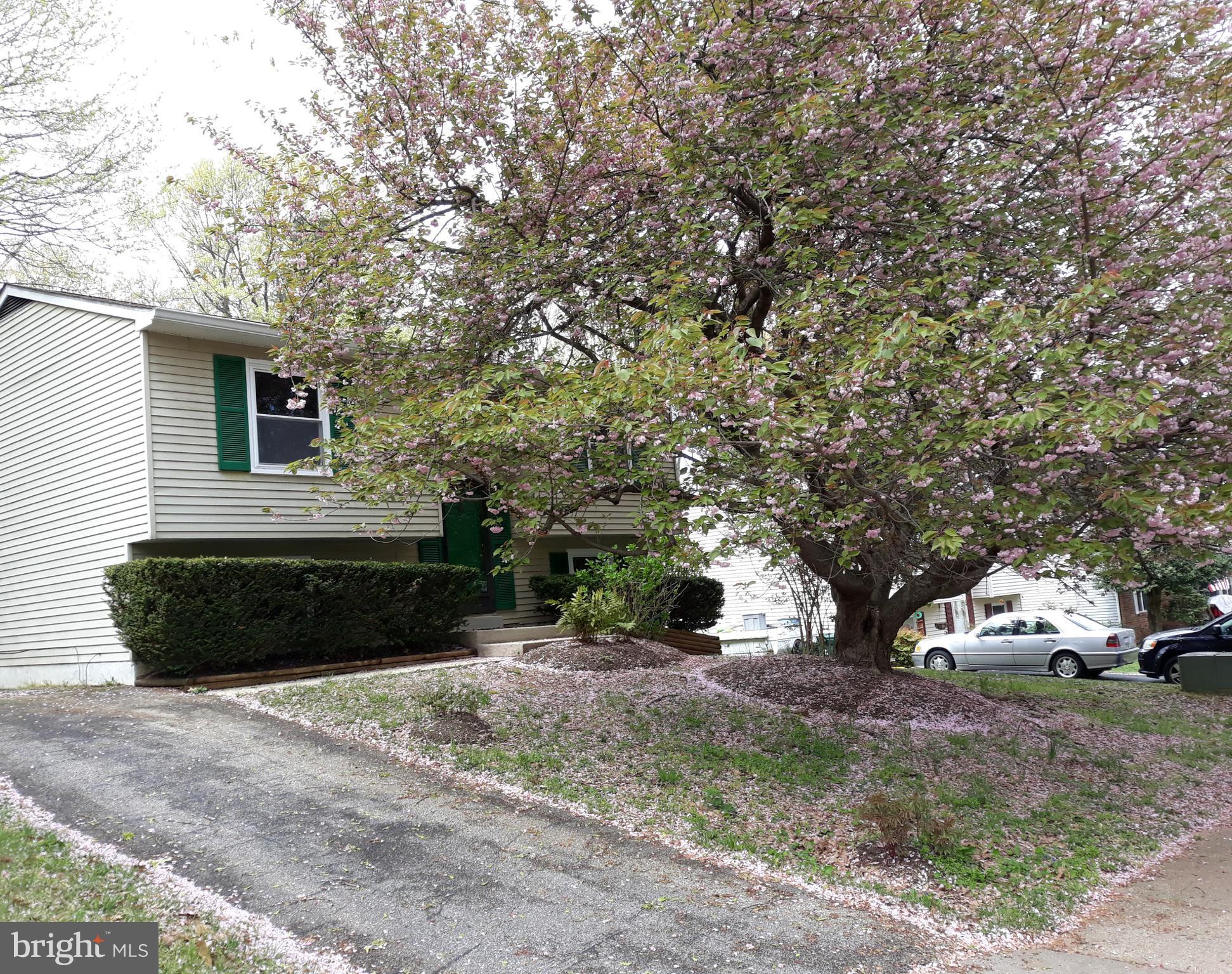 ATLANTIS - Residential