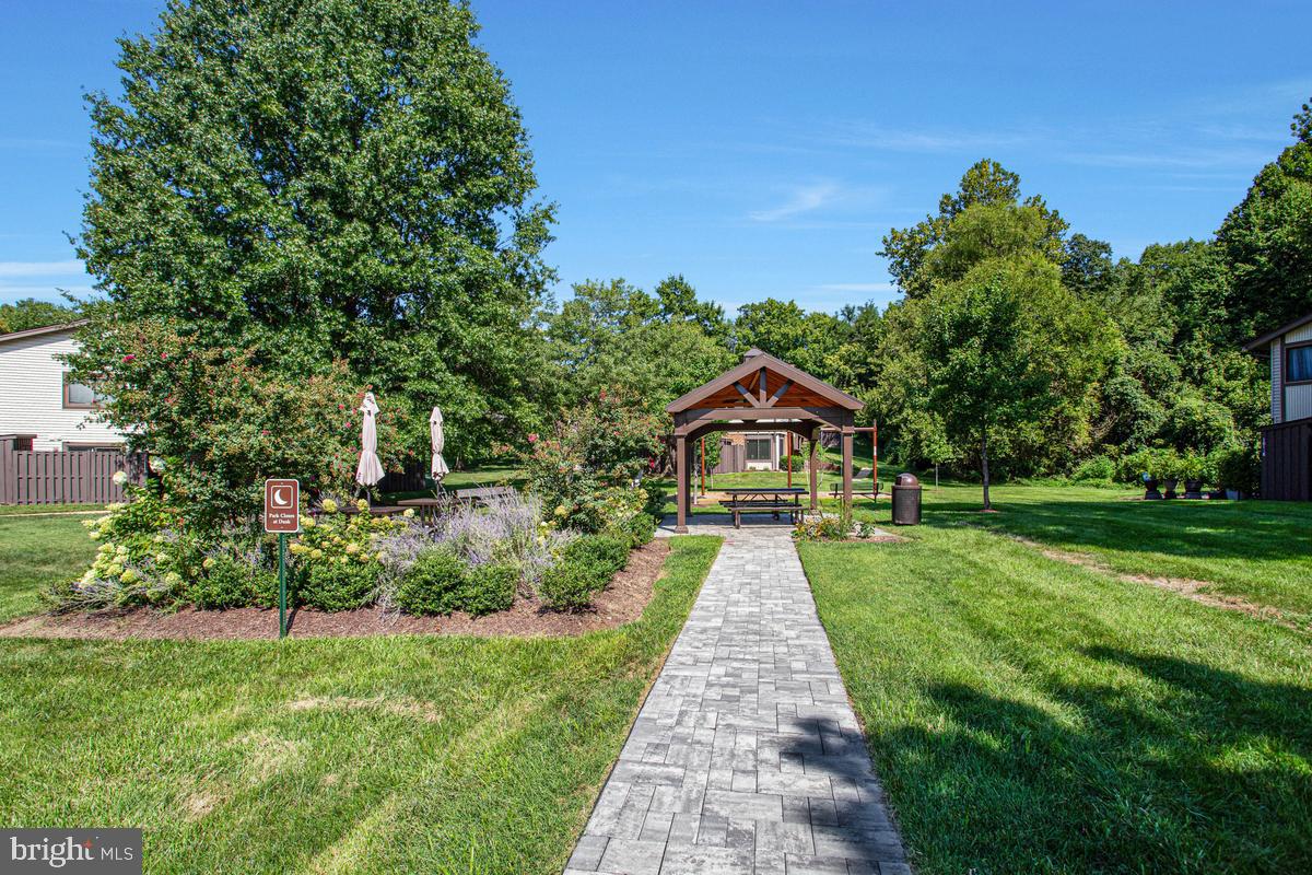 126 BIG CHIMNEY BRANCH 11-1