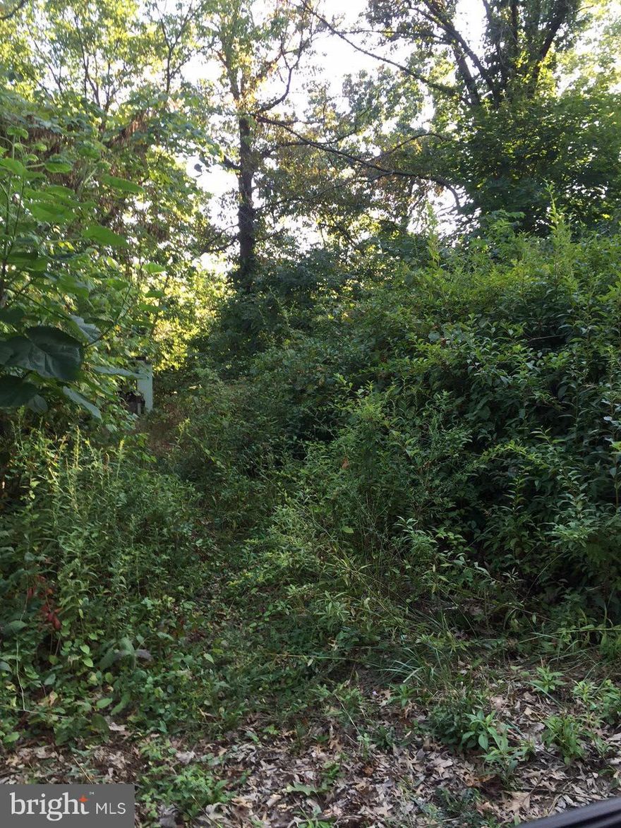 RENTAL INCOME POTENTIAL. Roughly .90 acres +/- of land in Jefferson County has the potential to be of great assets for someone that wants to clear it. RECENT PRICE DROP! Two structures on property, not live-able. Would make a good spot for a new single/double-wide or two for the rental investor. Ask about this sellers other property, BE8730844 and how to get a 2 for 1 deal!