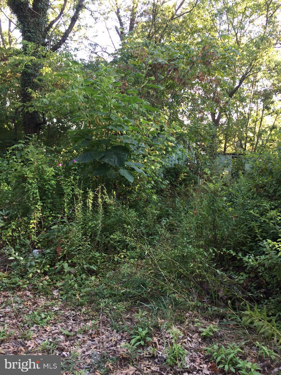 NONE AVAILABLE - Land