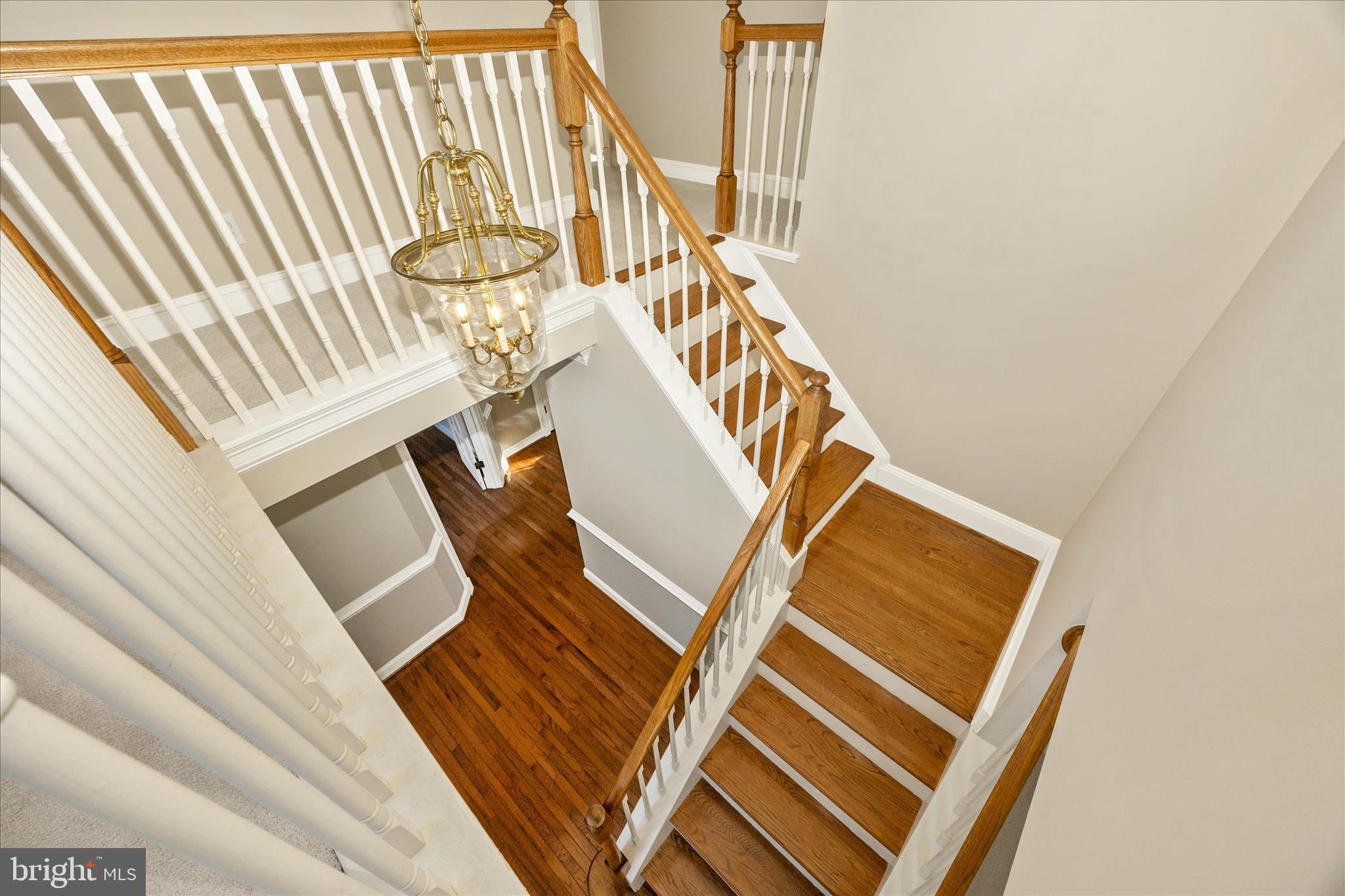 THE PADDOCKS - Residential