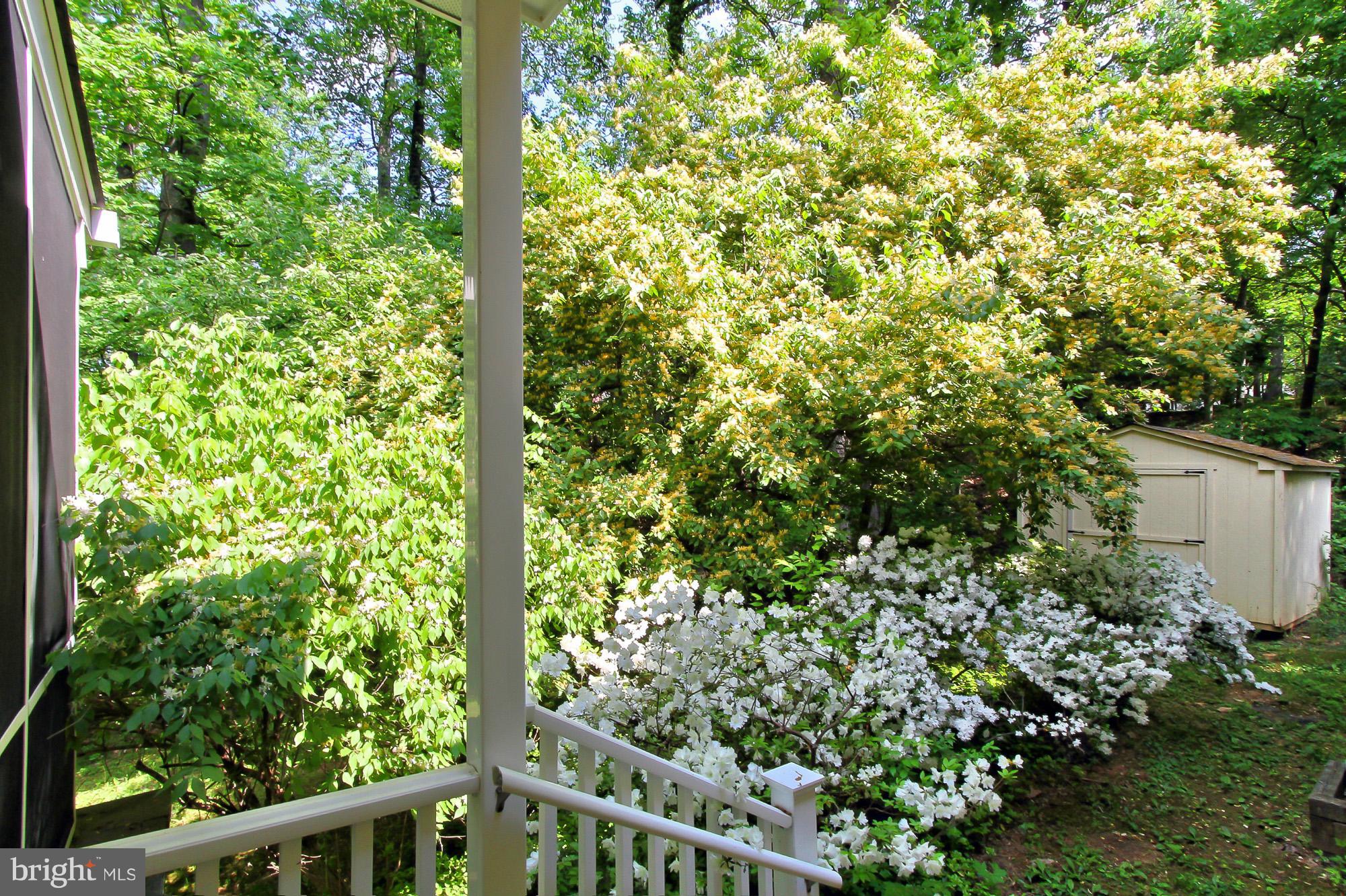 WOODSIDE ESTATES - Residential Lease