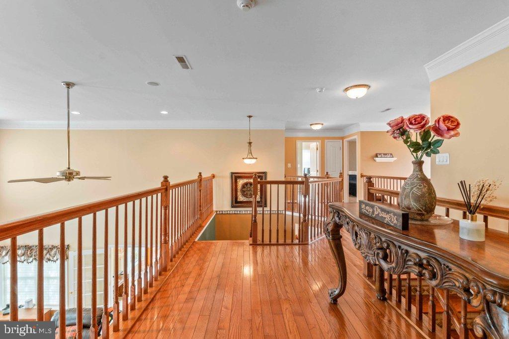 MAXA MEADOWS - Residential