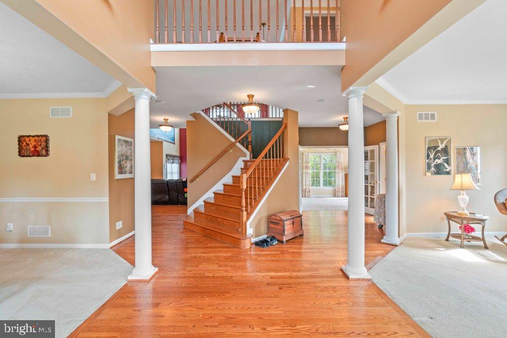 MAXA MEADOWS - Residential