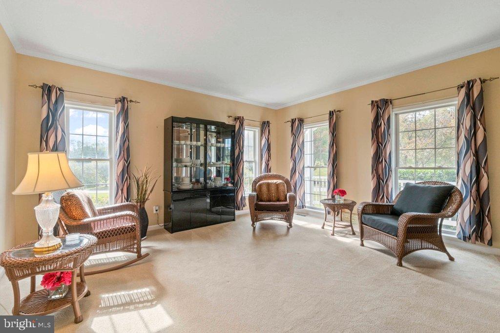 MAXA MEADOWS - Residential