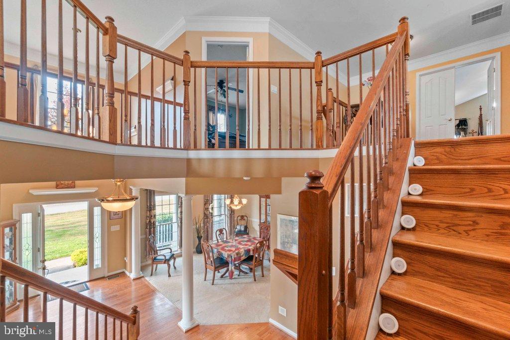 MAXA MEADOWS - Residential