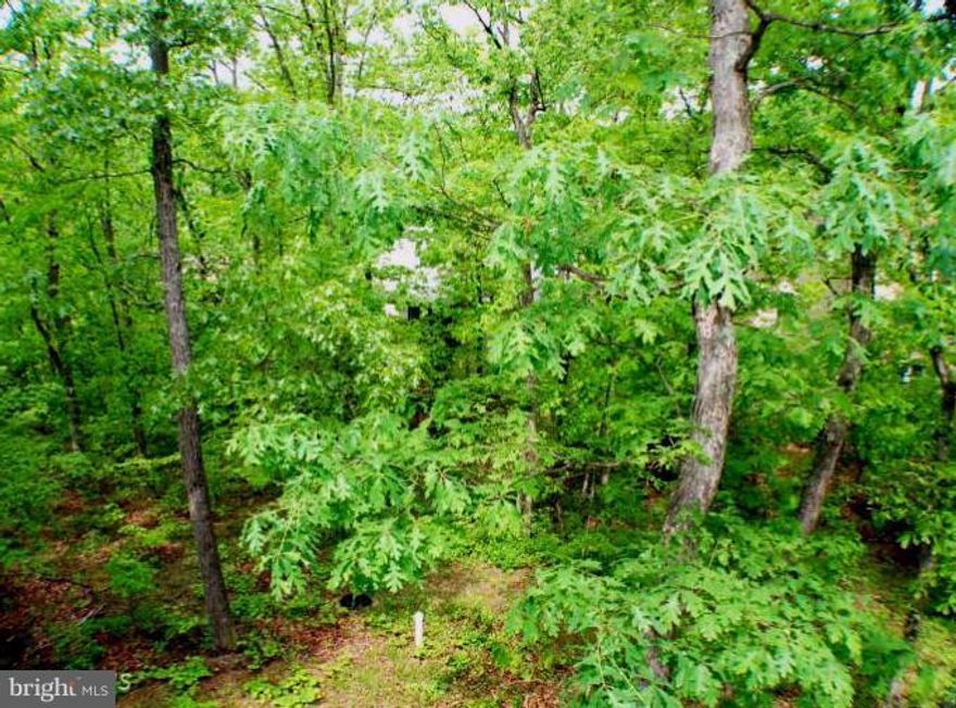 Awesome Mountain Get away. Come build a Cottage or your dream home on this 10 + Acre Lot with Mature trees/some hardwoods