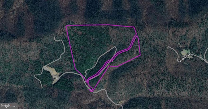 This breathtaking 78-acre property in Elk Creek, VA offers a serene escape with dense pine forests at the lower elevations and hardwoods gracing the higher north side. Perfect for hiking, hunting, or building a secluded mountain retreat, this land offers unmatched natural beauty and peace. Elk Creek is cherished for its quiet rural charm, close-knit community, and proximity to the trout-filled waters of Elk Creek and the hiking trails of Mount Rogers. Just over two hours from Roanoke, VA, you’ll enjoy a peaceful mountain lifestyle within reach of city conveniences. Selling below market value—this is truly the best deal on the market!